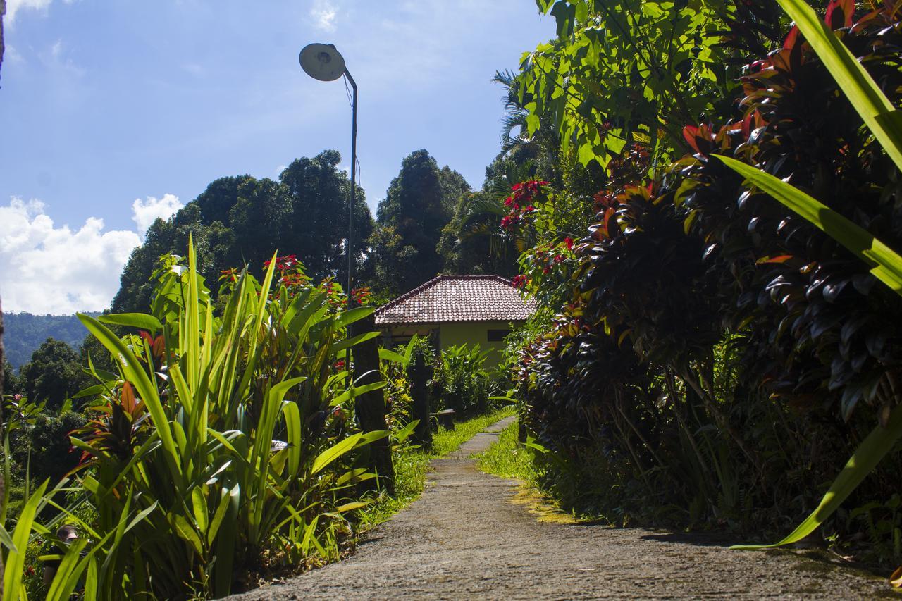 Aryautama Garden Villa Munduk Exteriör bild
