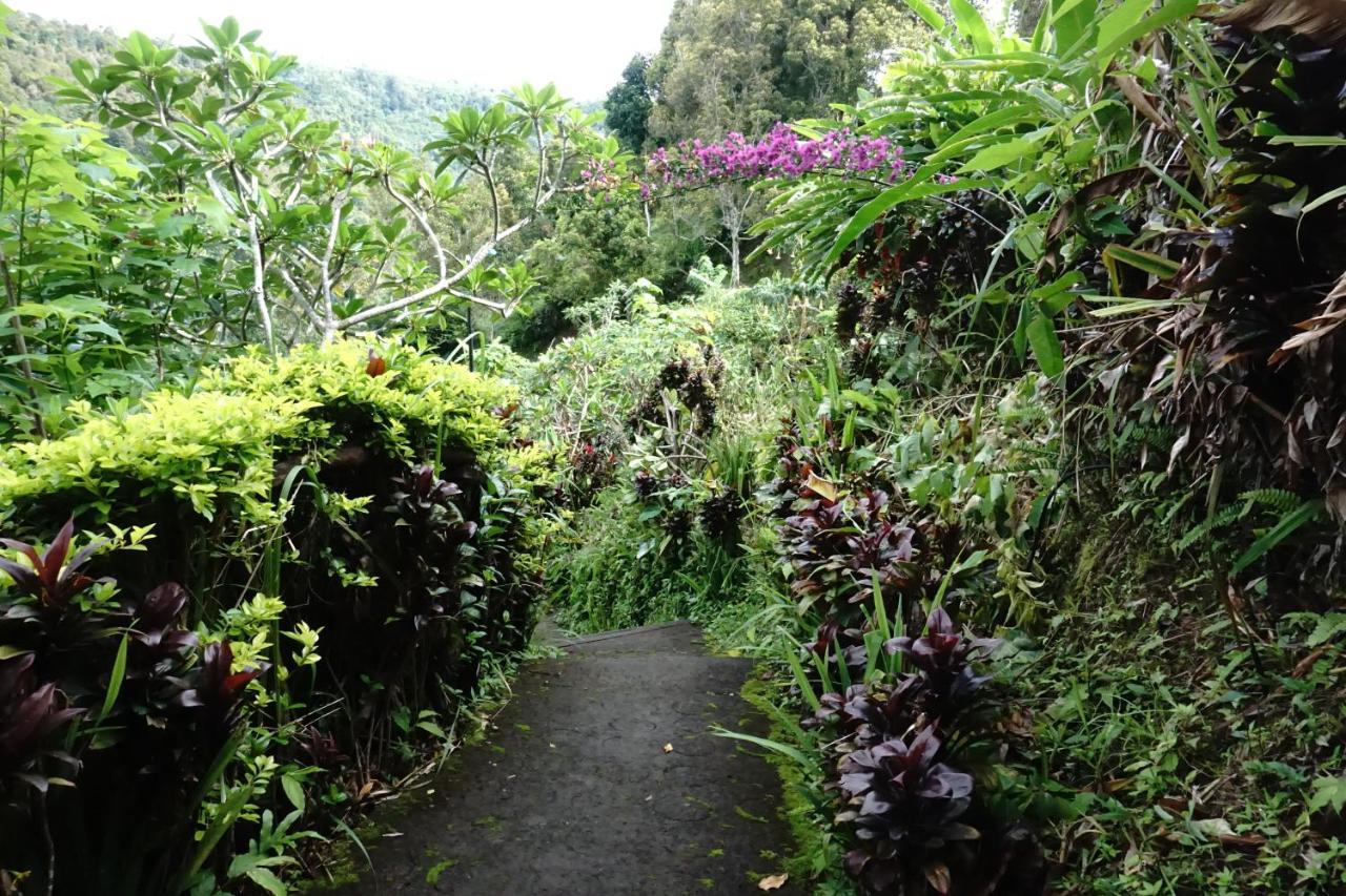 Aryautama Garden Villa Munduk Exteriör bild